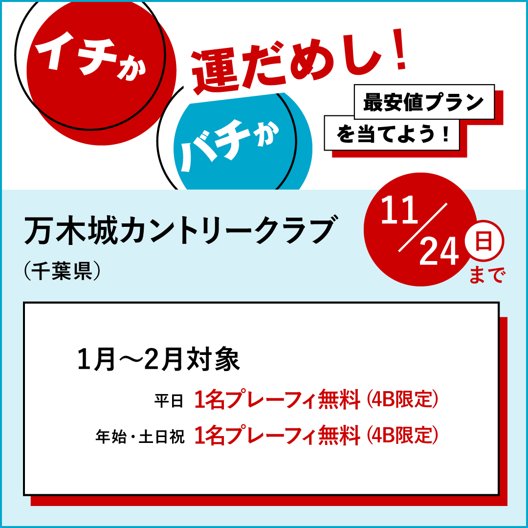 イチかバチか運試し「最安値プラン」を当てよう！