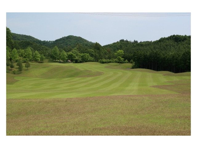 ウィンザーパークゴルフ＆カントリークラブ | 茨城県 | ゴルフ場予約ALBA Net | コース画像