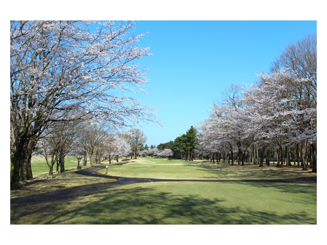 ザ・ゴルフクラブ竜ヶ崎 | 茨城県 | ゴルフ場予約ALBA Net | コース画像
