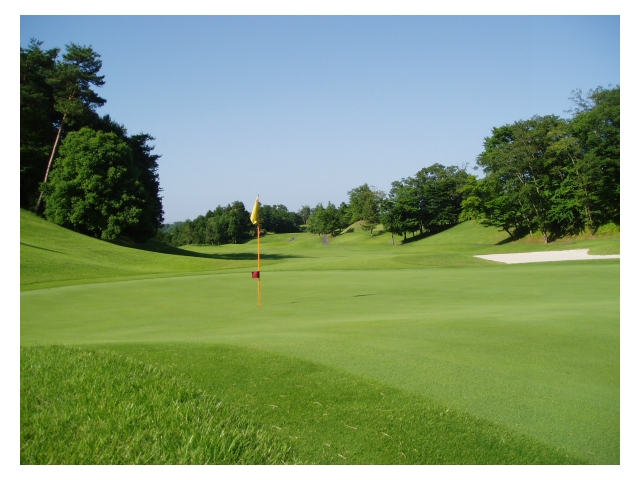 ゴルフ５カントリーサニーフィールド（旧：サニーフィールドゴルフ倶楽部） | 茨城県 | ゴルフ場予約ALBA Net | コース画像