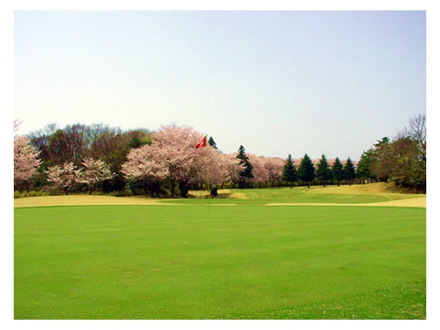 坂東ゴルフクラブ(旧:新東京ゴルフクラブ) | 茨城県 | ゴルフ場予約ALBA Net | コース画像