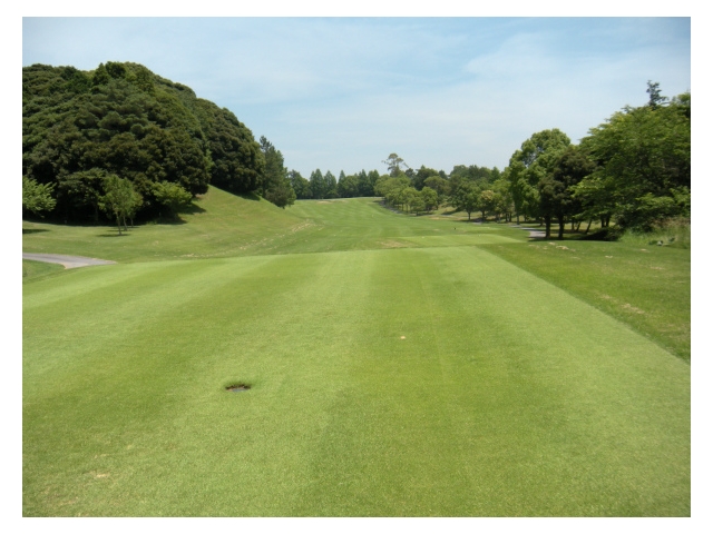 セントラルゴルフクラブ | 茨城県 | ゴルフ場予約ALBA.Net | コース画像