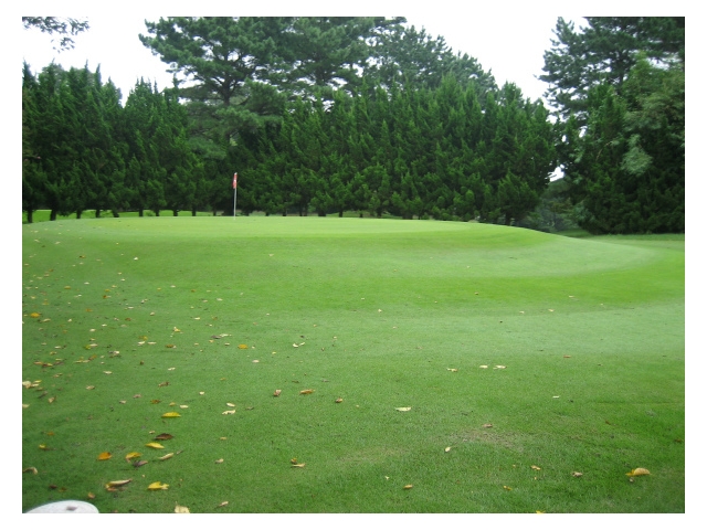 筑波東急ゴルフクラブ | 茨城県 | ゴルフ場予約ALBA Net | コース画像