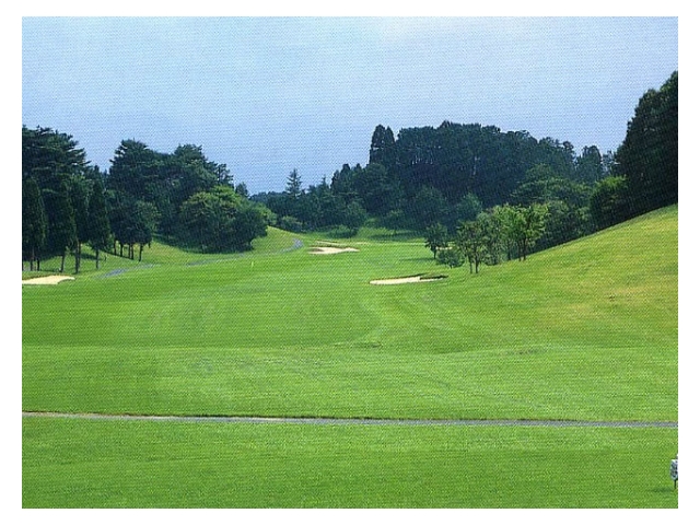 アローエースゴルフクラブ | 栃木県 | ゴルフ場予約ALBA Net | コース画像
