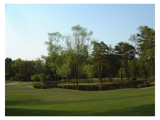 アローエースゴルフクラブ | 栃木県 | ゴルフ場予約ALBA Net | コース画像