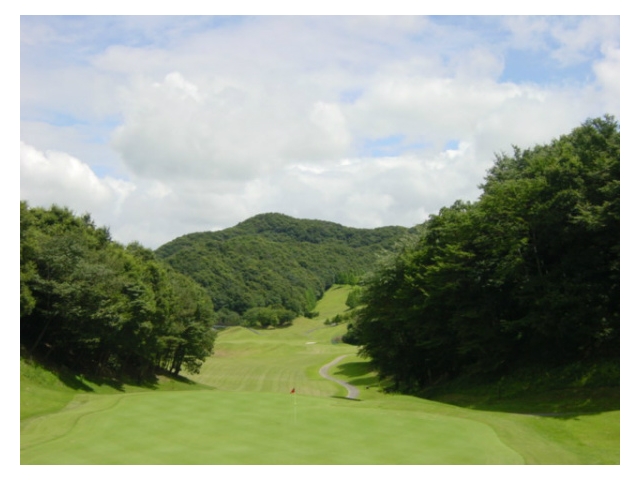岩舟ゴルフクラブ（旧IWAFUNE GOLF CLUB） | 栃木県 | ゴルフ場予約ALBA Net | コース画像