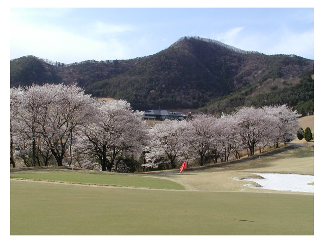 佐野ゴルフクラブ | 栃木県 | ゴルフ場予約ALBA Net | コース画像