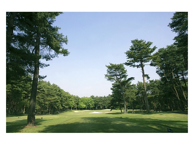 太平洋クラブ益子PGAコース | 栃木県 | ゴルフ場予約ALBA Net | コース画像