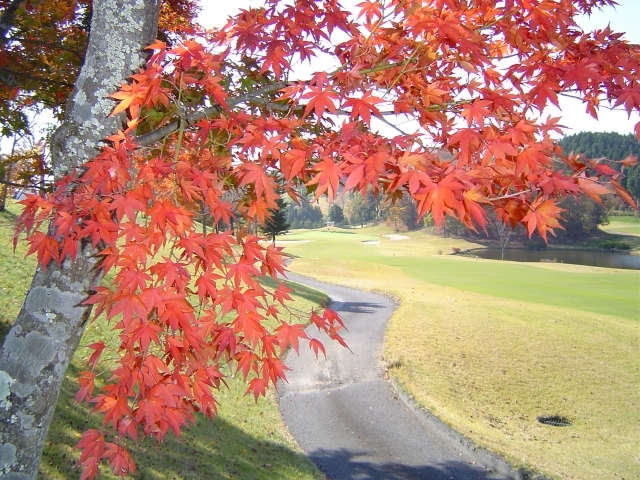 那須陽光ゴルフクラブ（旧：アイランドゴルフリゾート那須） | 栃木県 | ゴルフ場予約ALBA Net | コース画像