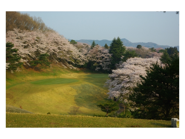 栃木カントリークラブ | 栃木県 | ゴルフ場予約ALBA Net | コース画像