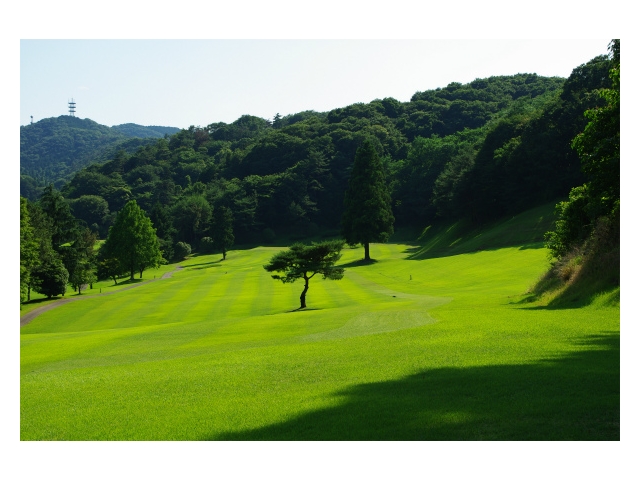 栃木カントリークラブ | 栃木県 | ゴルフ場予約ALBA Net | コース画像