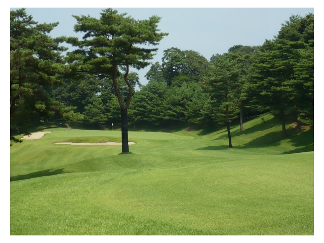 琵琶池ゴルフ倶楽部 | 栃木県 | ゴルフ場予約ALBA Net | コース画像
