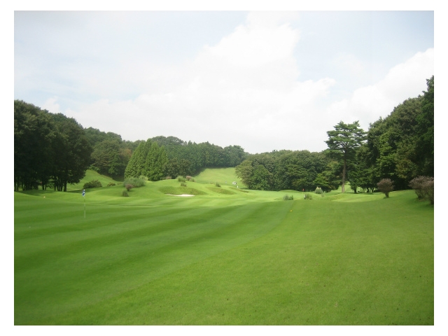 ニューセントアンドリュース　ゴルフクラブ・ジャパン | 栃木県 | ゴルフ場予約ALBA Net | コース画像