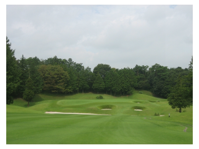 ニューセントアンドリュース　ゴルフクラブ・ジャパン | 栃木県 | ゴルフ場予約ALBA Net | コース画像