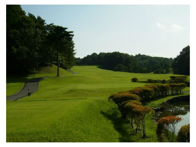 ニューセントラルゴルフ倶楽部 | 栃木県 | ゴルフ場予約ALBA Net | コース画像