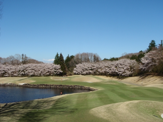 ピートダイゴルフクラブ　VIPコース | 栃木県 | ゴルフ場予約ALBA Net | コース画像