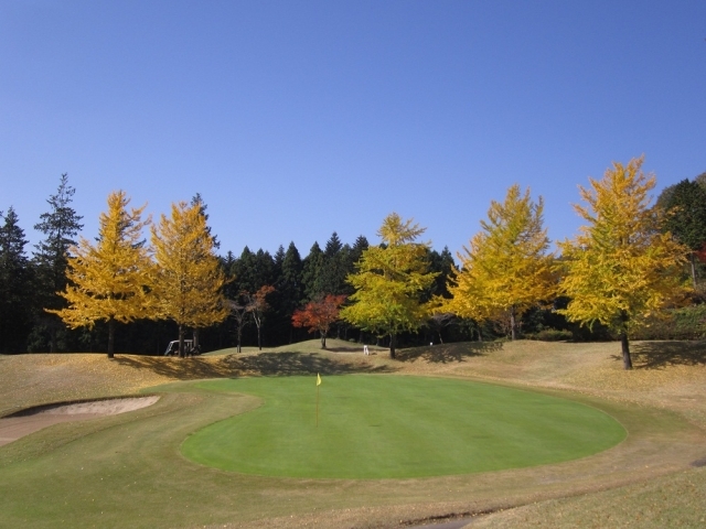 ピートダイゴルフクラブ　ロイヤルコース | 栃木県 | ゴルフ場予約ALBA.Net | コース画像