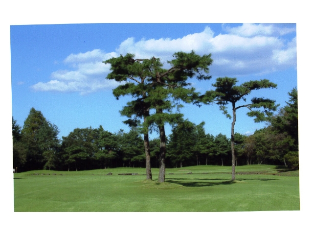 星の宮カントリー倶楽部 | 栃木県 | ゴルフ場予約ALBA Net | コース画像