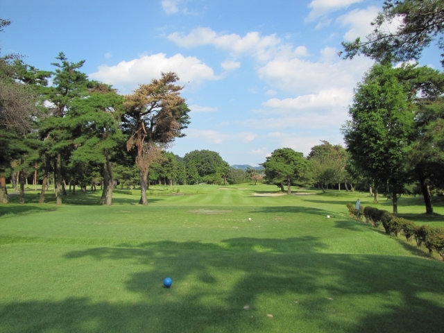 ラインヒルゴルフクラブ | 栃木県 | ゴルフ場予約ALBA.Net | コース画像