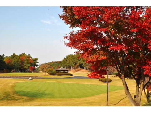 こだまゴルフクラブ | 埼玉県 | ゴルフ場予約ALBA Net | コース画像