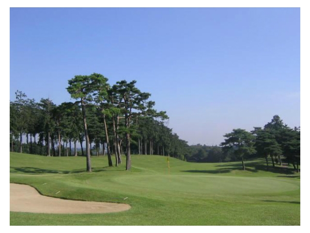 さいたまゴルフクラブ | 埼玉県 | ゴルフ場予約ALBA.Net | コース画像