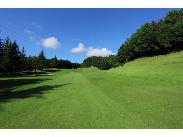 さいたまゴルフクラブ | 埼玉県 | ゴルフ場予約ALBA Net | コース画像