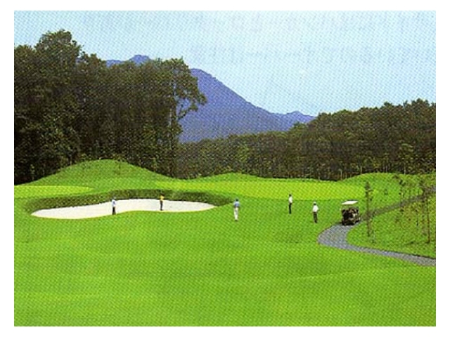 新武蔵丘ゴルフコース | 埼玉県 | ゴルフ場予約ALBA.Net | コース画像