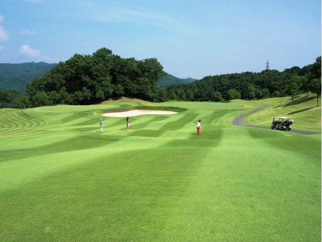 新武蔵丘ゴルフコース | 埼玉県 | ゴルフ場予約ALBA.Net | コース画像
