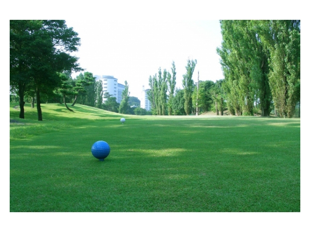 ヘリテイジゴルフコース | 埼玉県 | ゴルフ場予約ALBA Net | コース画像