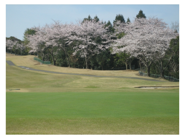 南総ヒルズカントリークラブ（旧エンゼルカントリークラブ） | 千葉県 | ゴルフ場予約ALBA.Net | コース画像