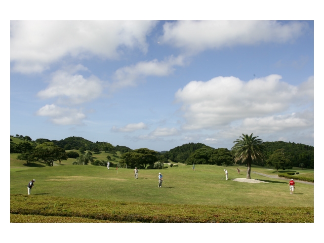 大原・御宿ゴルフコース | 千葉県 | ゴルフ場予約ALBA Net | コース画像