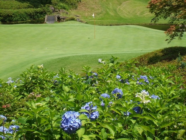 カレドニアン・ゴルフクラブ | 千葉県 | ゴルフ場予約ALBA Net | 施設画像