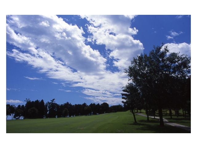 鹿野山ゴルフ倶楽部 | 千葉県 | ゴルフ場予約ALBA Net | コース画像