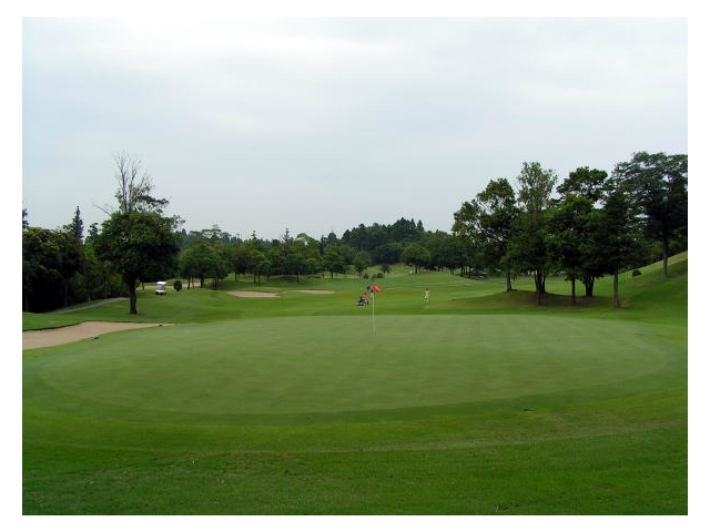 大栄カントリー倶楽部 | 千葉県 | ゴルフ場予約ALBA Net | コース画像