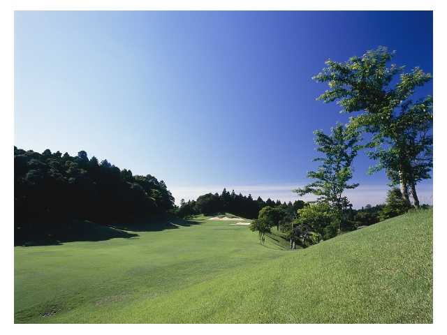 千葉桜の里ゴルフクラブ | 千葉県 | ゴルフ場予約ALBA Net | コース画像