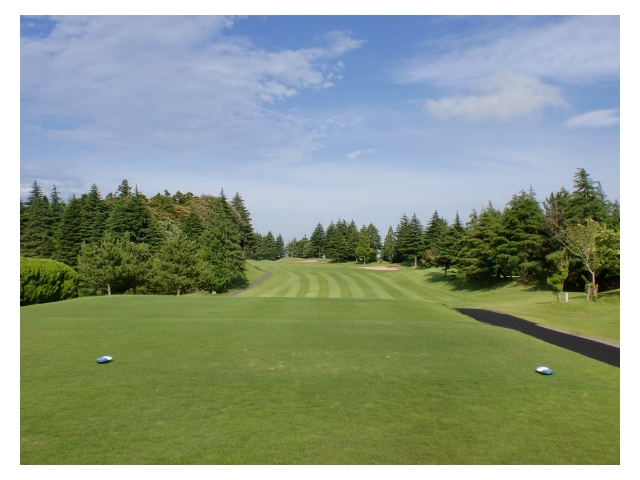 千葉新日本ゴルフ倶楽部 | 千葉県 | ゴルフ場予約ALBA Net | コース画像