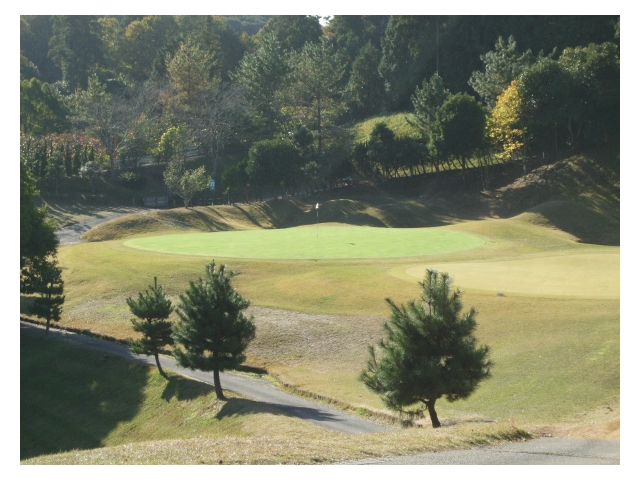 東京国際空港ゴルフ倶楽部 | 千葉県 | ゴルフ場予約ALBA.Net | コース画像