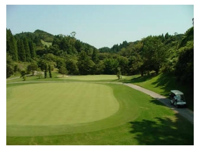 トーヨーカントリークラブ | 千葉県 | ゴルフ場予約ALBA Net | コース画像