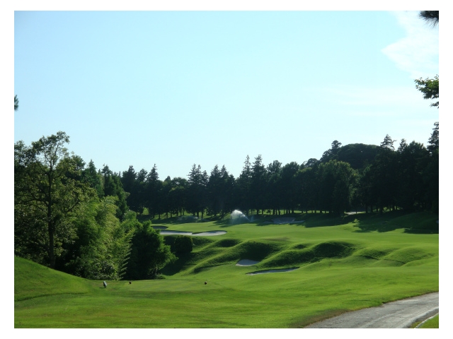 富里ゴルフ倶楽部 | 千葉県 | ゴルフ場予約ALBA Net | コース画像