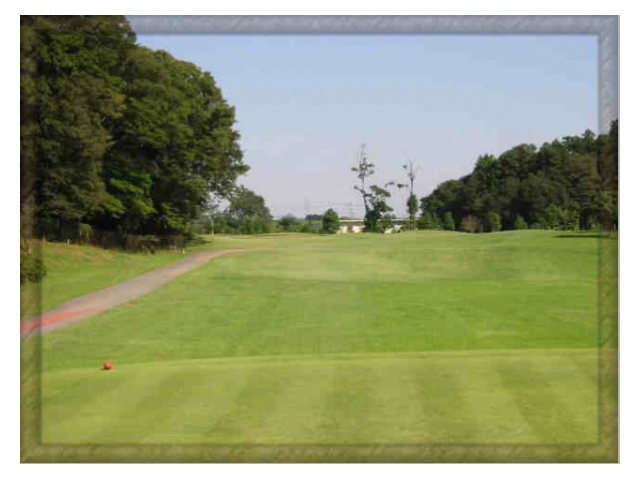 野田市パブリックゴルフ場　けやきコース | 千葉県 | ゴルフ場予約ALBA Net | コース画像
