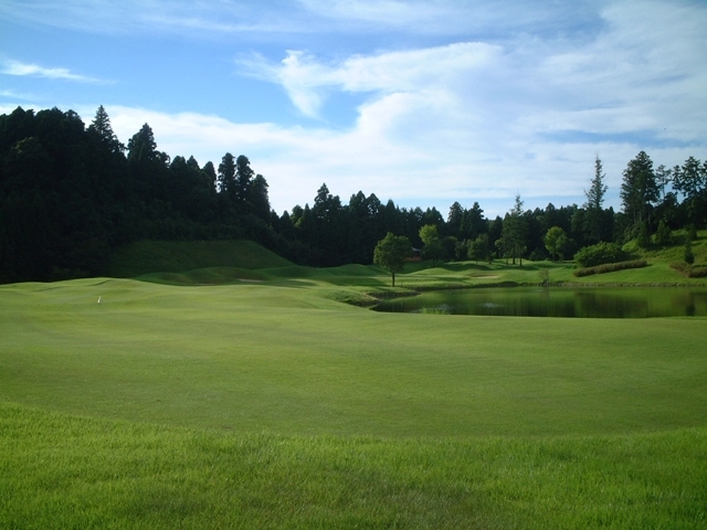 芝山ゴルフ倶楽部 | 千葉県 | ゴルフ場予約ALBA Net | コース画像