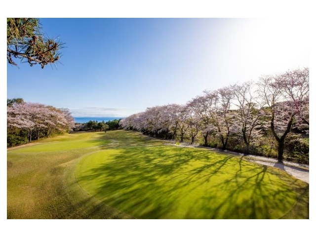 太平洋クラブ八千代コース（旧：八千代ゴルフクラブ） | 千葉県 | ゴルフ場予約ALBA Net | コース画像
