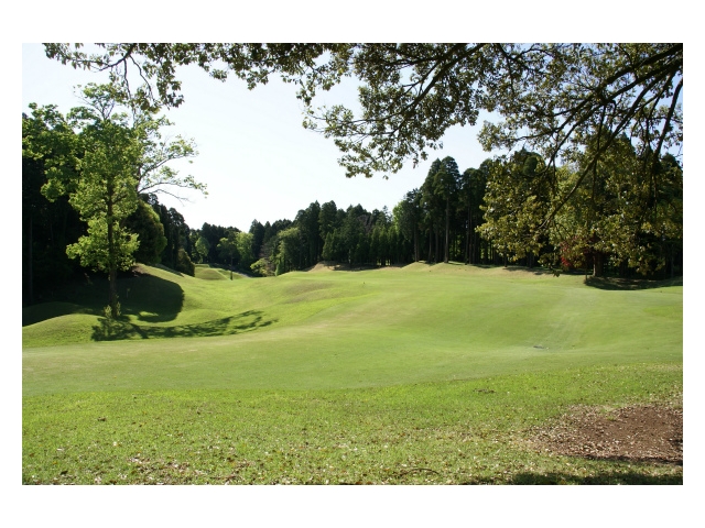 山田ゴルフ倶楽部 | 千葉県 | ゴルフ場予約ALBA Net | コース画像