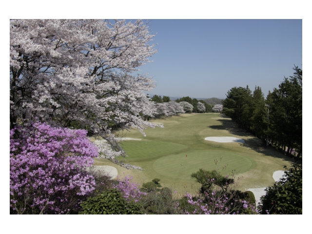 武蔵野ゴルフクラブ | 東京都 | ゴルフ場予約ALBA Net | コース画像
