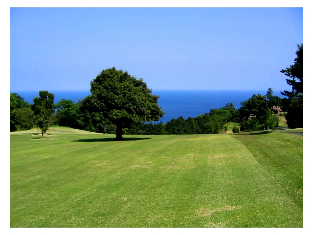 熱海ゴルフ倶楽部 | 静岡県 | ゴルフ場予約ALBA Net | コース画像