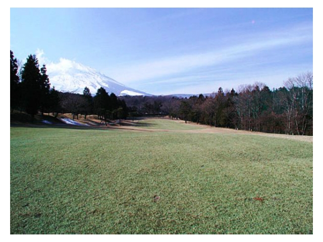富士平原ゴルフクラブ | 静岡県 | ゴルフ場予約ALBA Net | コース画像