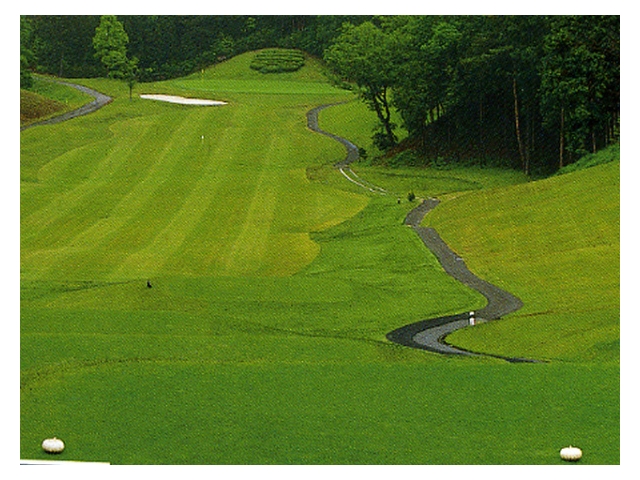 コムウッドゴルフクラブ | 滋賀県 | ゴルフ場予約ALBA Net | コース画像