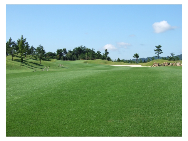 メイプルヒルズゴルフ倶楽部 | 滋賀県 | ゴルフ場予約ALBA Net | コース画像