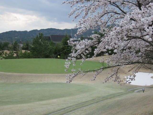 メイプルヒルズゴルフ倶楽部 | 滋賀県 | ゴルフ場予約ALBA Net | コース画像