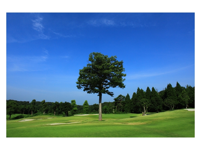 東条の森カントリークラブ大蔵コース | 兵庫県 | ゴルフ場予約ALBA Net | コース画像